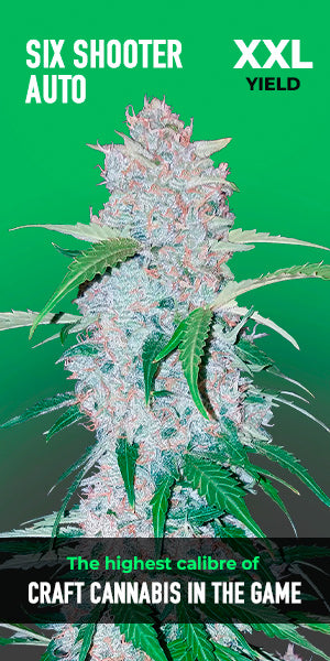 Six Shooter Auto - FastBuds